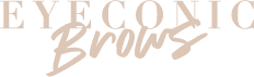 Eyeconic Brows