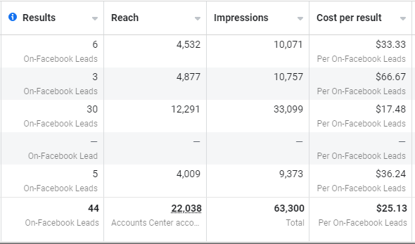 Cobo Photography — Meta Ads overall campaign performance dashboard