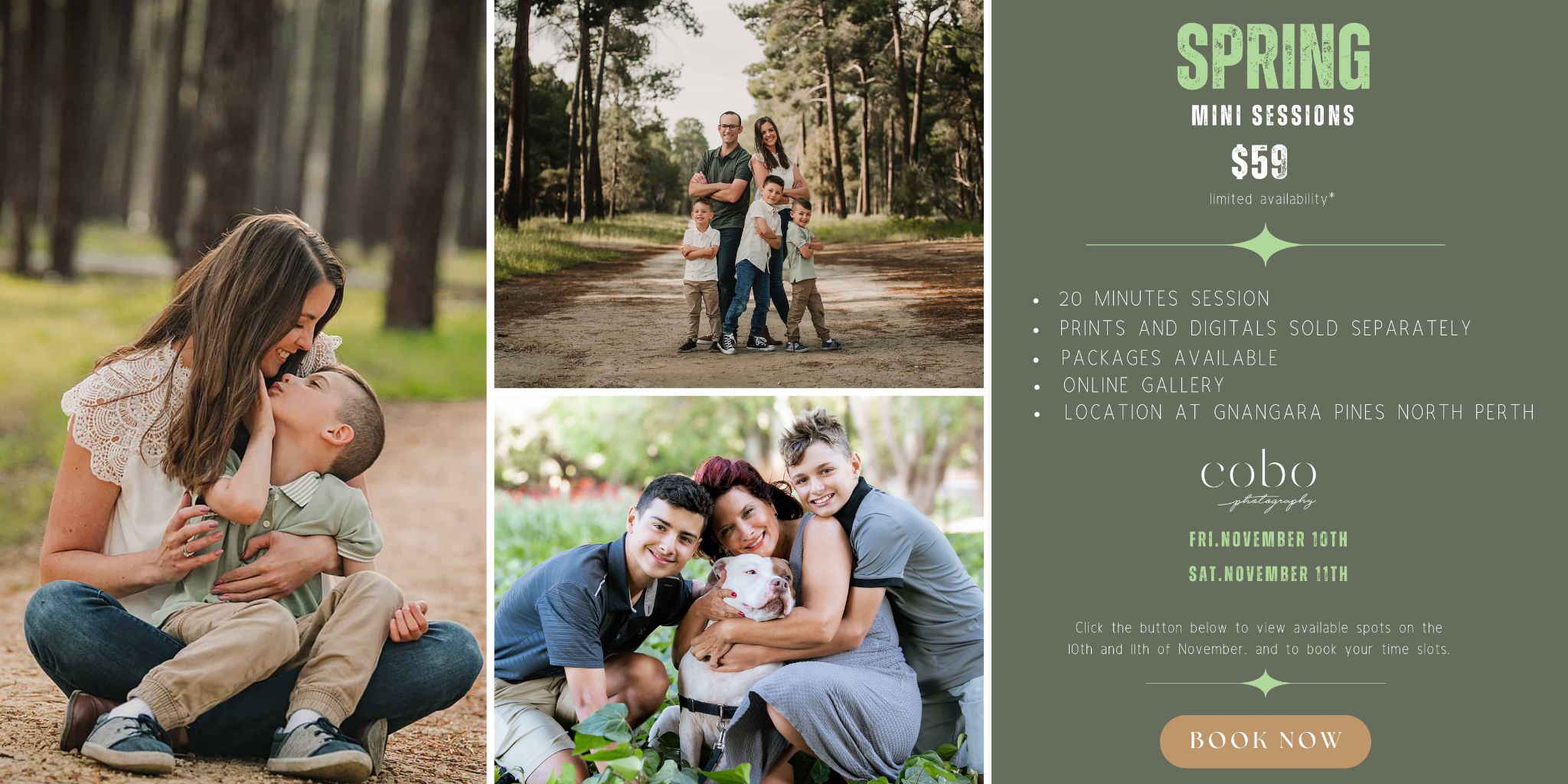 Cobo Photography — top-performing Facebook ad creative