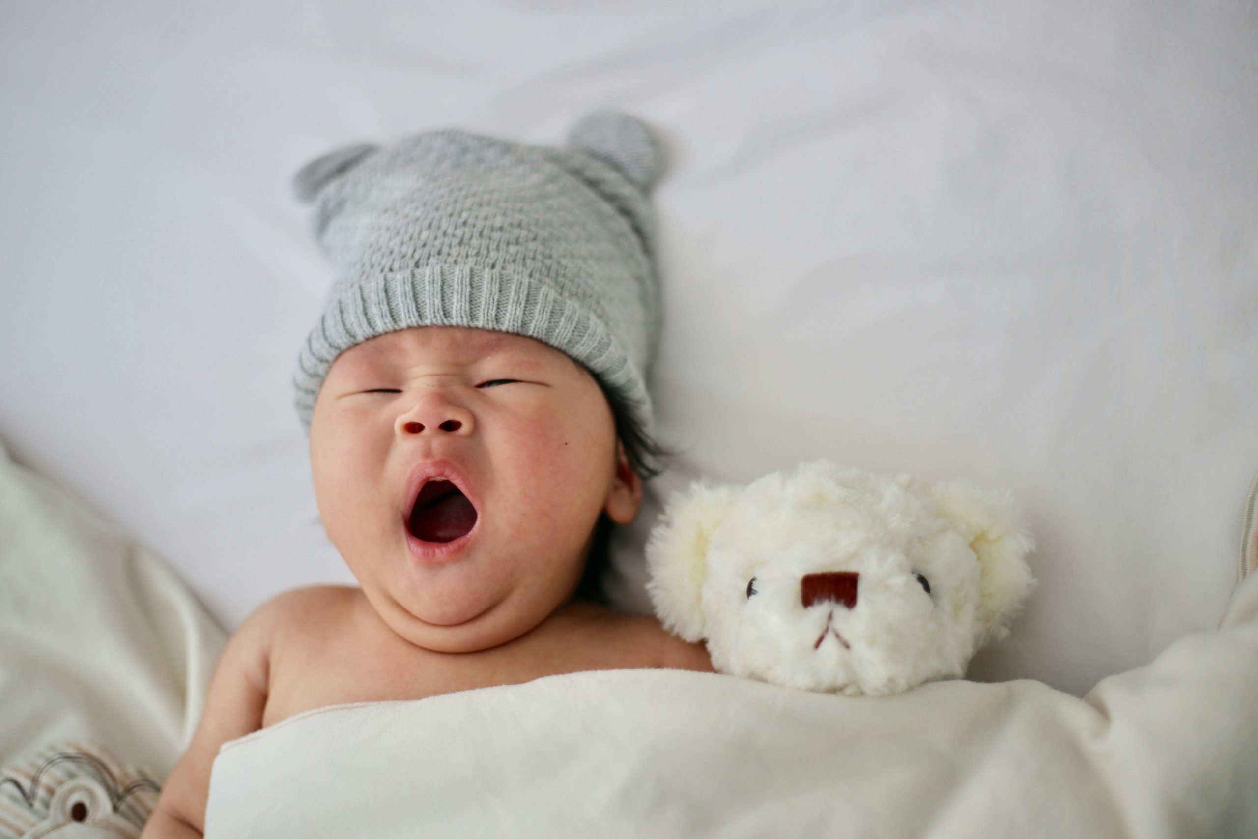 Baby Wonderland
