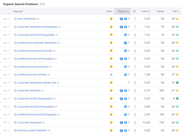 Simona Janek 205 organic search positions — first page rankings