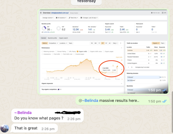 Meta Ads Manager — ad set level with audience targeting detail