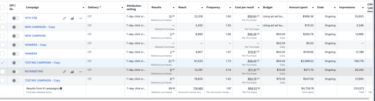 The Anti Bark Zone Meta Ads account 1 — 69 purchases, 119,466 reach, $4,728 spend across 8 campaigns